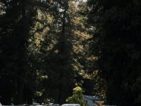 AutoCamp Russian River