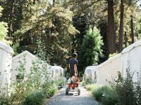 AutoCamp Russian River