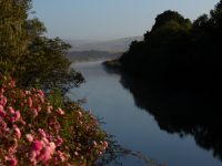 Paul C. Miller Photography