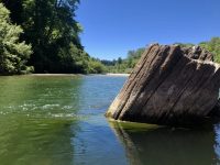 Burke’s Canoe Trips