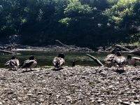 Burke’s Canoe Trips