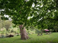 River View Garden Resort
