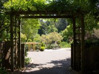 River View Garden Resort